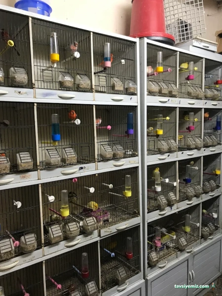 Zeytinburnu Duygu Pet Shop Zeytinburnu Duygu Pet Shop