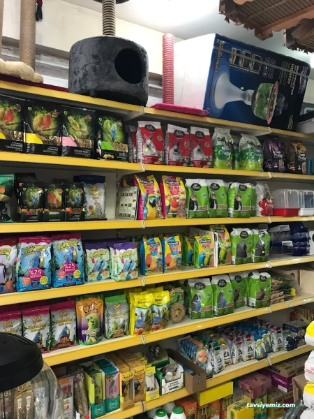 Zeytinburnu Duygu Pet Shop Zeytinburnu Duygu Pet Shop