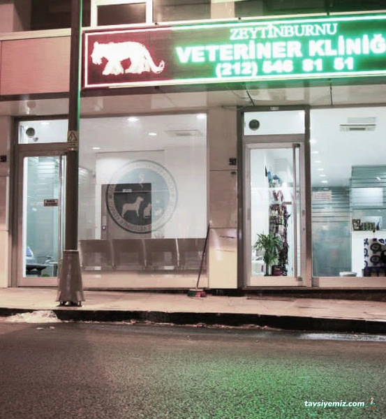 Zeytinburnu Veteriner Kliniği Zeytinburnu Veteriner Kliniği