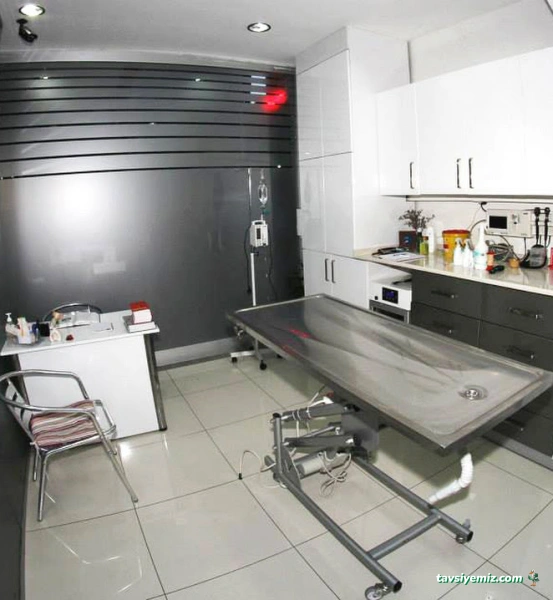 Zeytinburnu Veteriner Kliniği Zeytinburnu Veteriner Kliniği