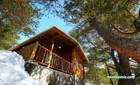 Zigana Gümüşkayak Yaylakent Hotel & Bungalow Zigana Gümüşkayak Yaylakent Hotel & Bungalow