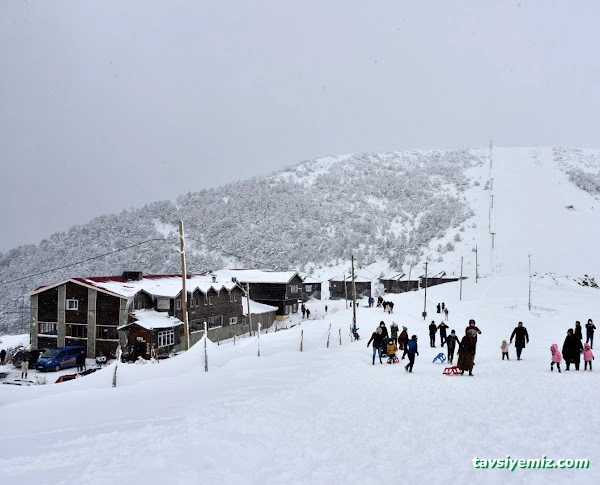 Zigana Gümüşkayak Yaylakent Hotel & Bungalow Zigana Gümüşkayak Yaylakent Hotel & Bungalow