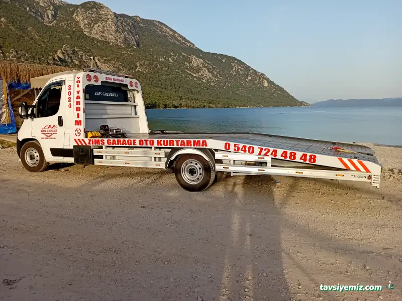 Zims Acil Otokurtarma