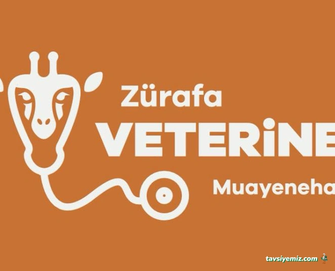Zürafa Veteriner Muayenehanesi Zürafa Veteriner Muayenehanesi