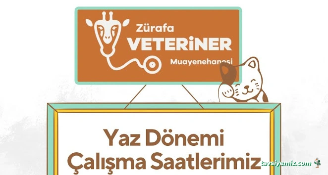 Zürafa Veteriner Muayenehanesi Zürafa Veteriner Muayenehanesi