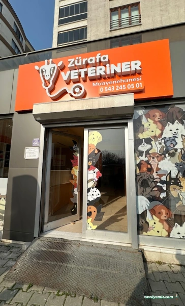 Zürafa Veteriner Muayenehanesi Zürafa Veteriner Muayenehanesi
