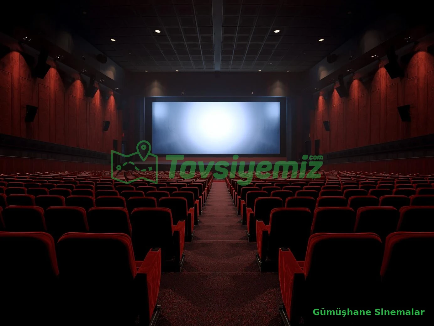 Gümüşhane Sinemalar