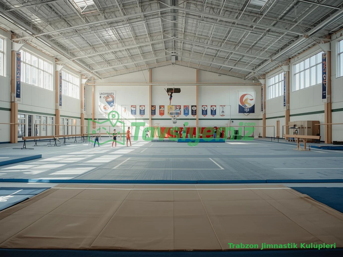 Trabzon Jimnastik Kulüpleri