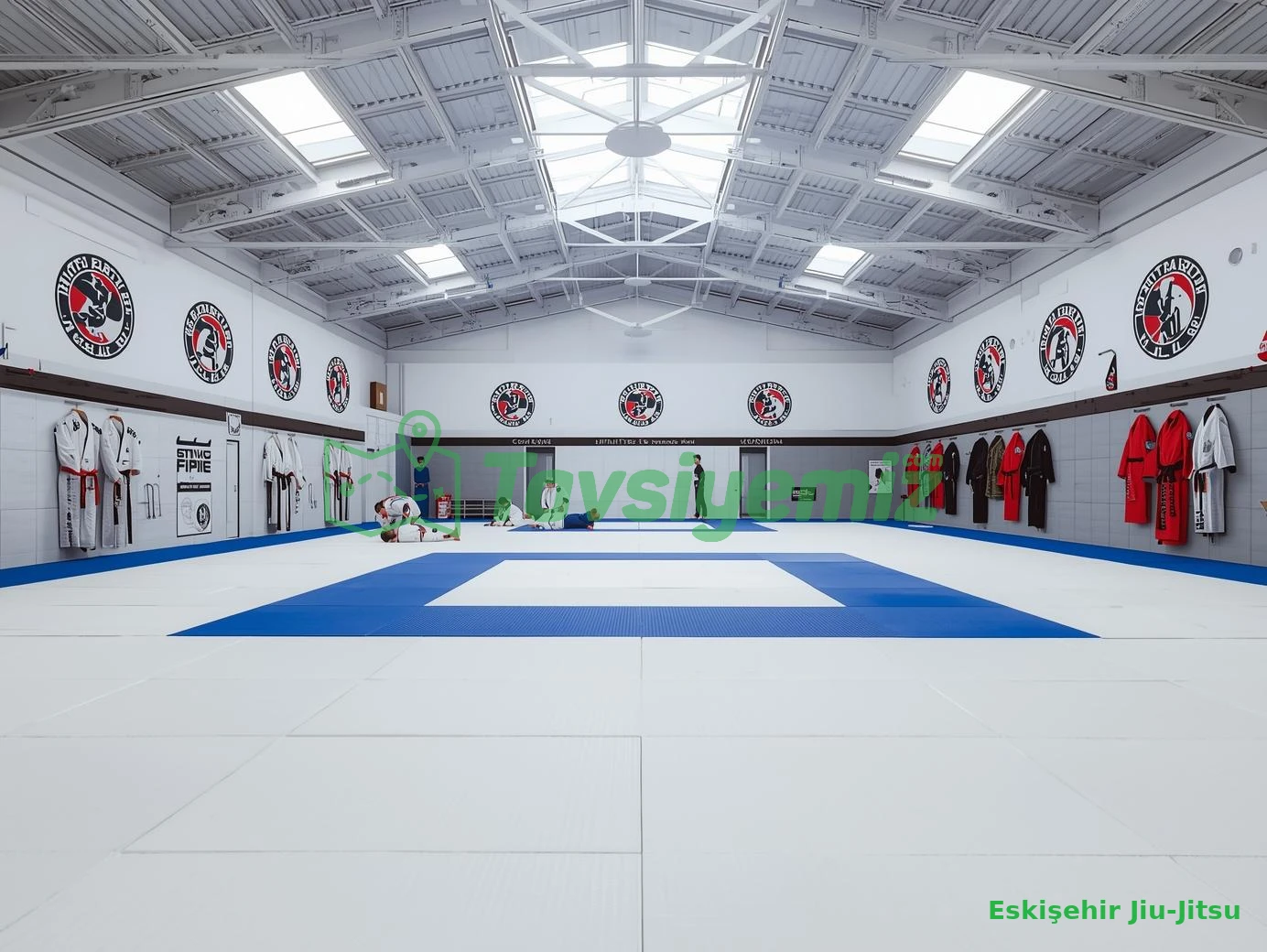 Eskişehir Jiu-Jitsu
