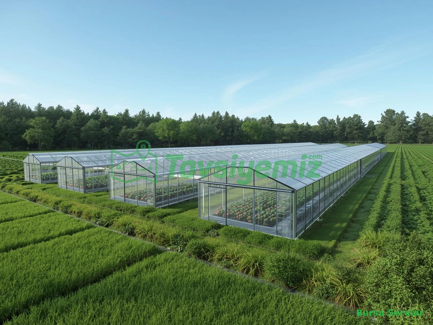 Bursatarım Merkez Sera